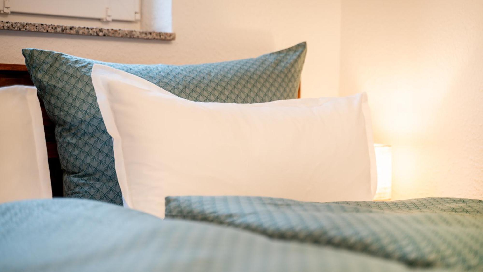 Appartement Altstadt I Glasfaser I Business I Free Parking